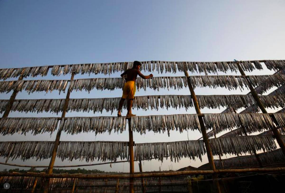 Overfishing is particularly bad in parts of the developing world where many people already struggle to get enough nutritious food to eat