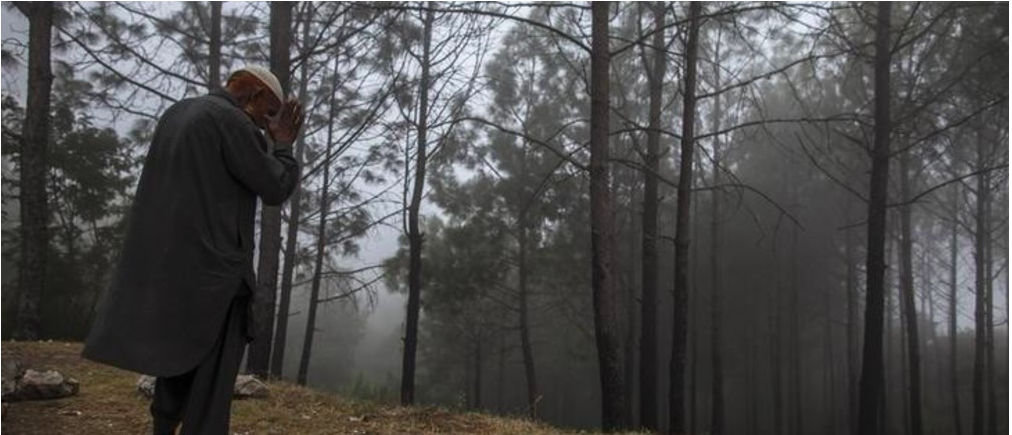 Pakistan's federal government plans to plant 100 million trees within five years.