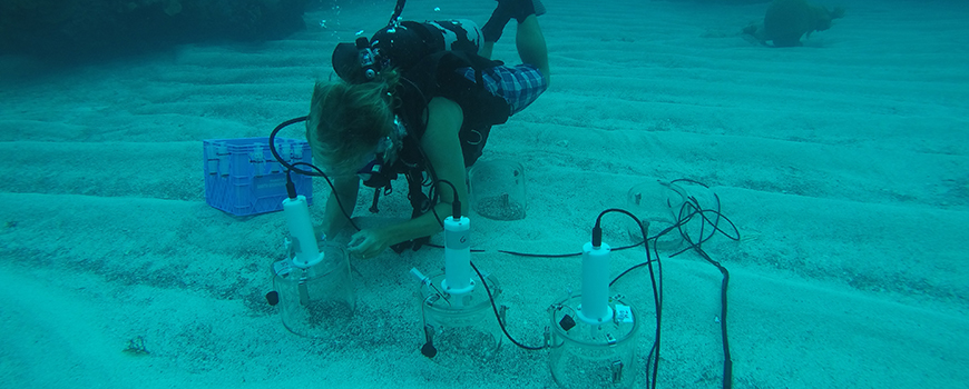 Scripps researcher Tyler Cyronak and test chambers in a study of ocean acidification effects on coral reef sediments in Bermuda Acid Ocean - Reef Loss Risk